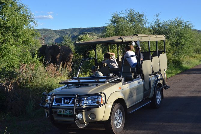 3-Hour Private Game Drive of Pilanesberg National Park - Why Pilanesberg works for a short safari