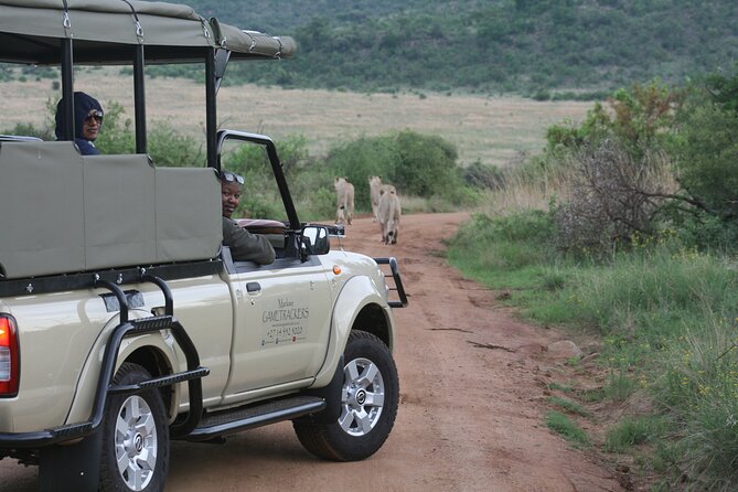 3-Hour Private Game Drive of Pilanesberg National Park - How the experience earns its 4.5 rating