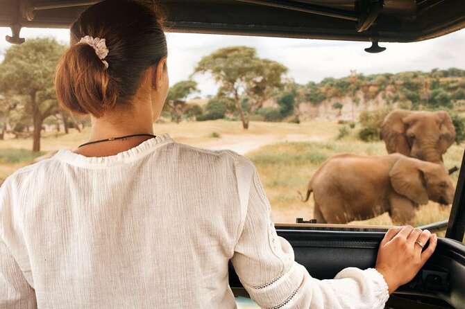 3-Hour Safari Tour in Pilanesberg National Park - Who will get the most from this safari