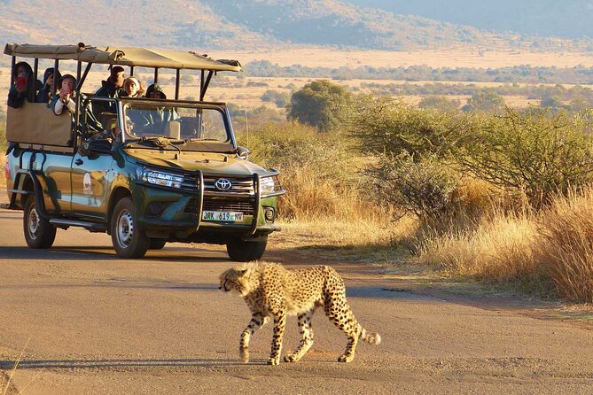 3-Hour Scheduled Safari Game Drive in Pilanesberg National Park - Who should book this safari