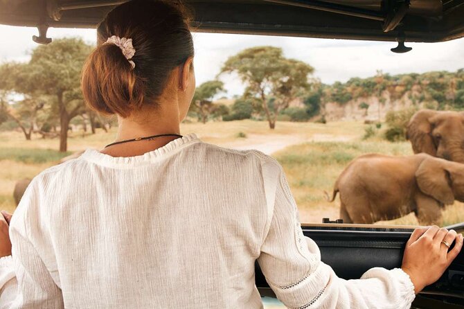 3-Hour Scheduled Safari Game Drive in Pilanesberg National Park - Entering Pilanesberg National Park from Sun City