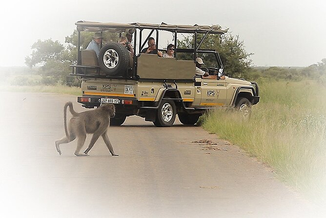 3 Night & 4 Day Private Kruger Park Safari - Key points to know before booking
