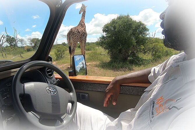 3 Night & 4 Day Private Kruger Park Safari - Why four days works better than a quick Kruger visit