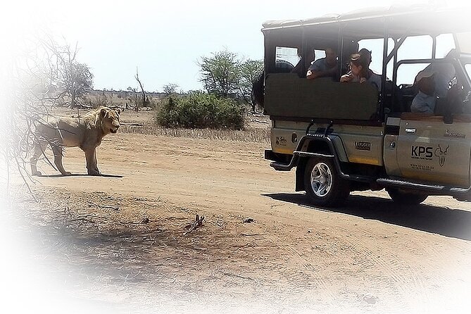 3 Night & 4 Day Private Kruger Park Safari - Is $2,193.30 per person good value?
