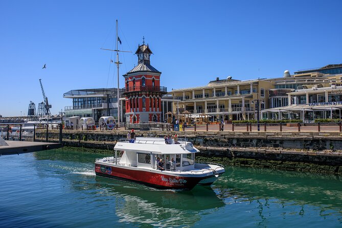 30min Harbour Boat Cruise Cape Town - What this 30-minute cruise is really like