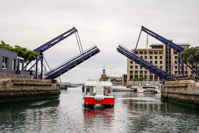 30min Harbour Boat Cruise Cape Town - Seals, breezes, and the small surprises