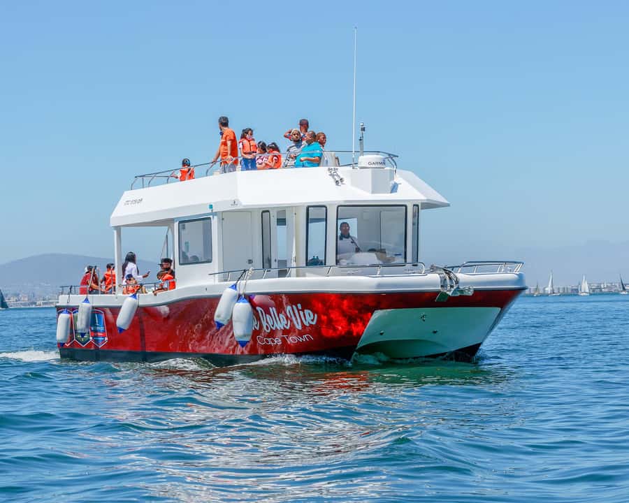30min V&A Waterfront Harbour Cruise Cape Town - A short cruise with a big Table Mountain view