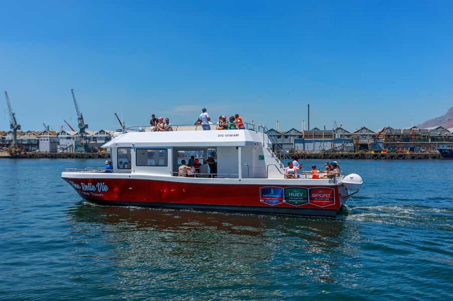 30min V&A Waterfront Harbour Cruise Cape Town - Cruising through the V&A Waterfront and Cape Town harbour