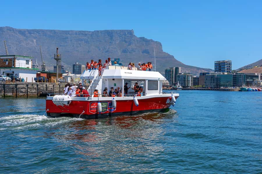 30min V&A Waterfront Harbour Cruise Cape Town - Watching for ocean wildlife
