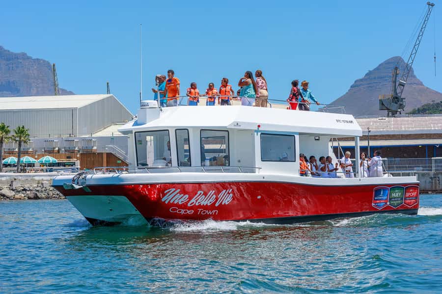 30min V&A Waterfront Harbour Cruise Cape Town - Who will get the most from this boat trip