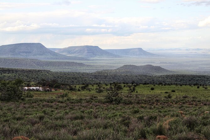 4 Day Addo to Karoo Safari - Day three: the tour’s most unusual wildlife experience