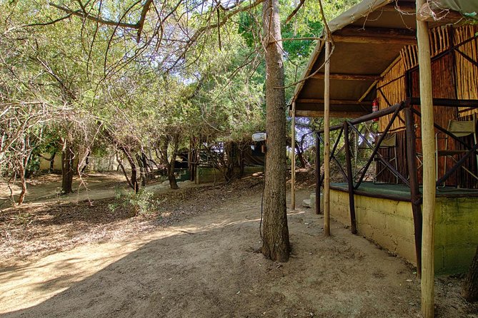 4 Day Budget Kruger National Park Safari - Marc’s Camp: useful comfort without pretending it is a hotel