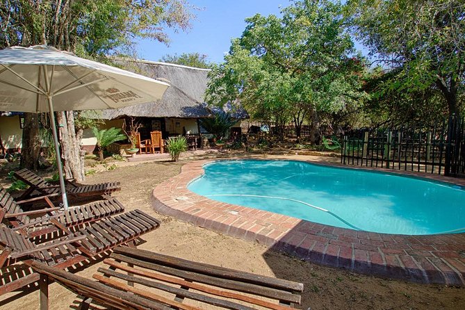 4 Day Budget Kruger National Park Safari - Day 3: One full day inside Kruger National Park