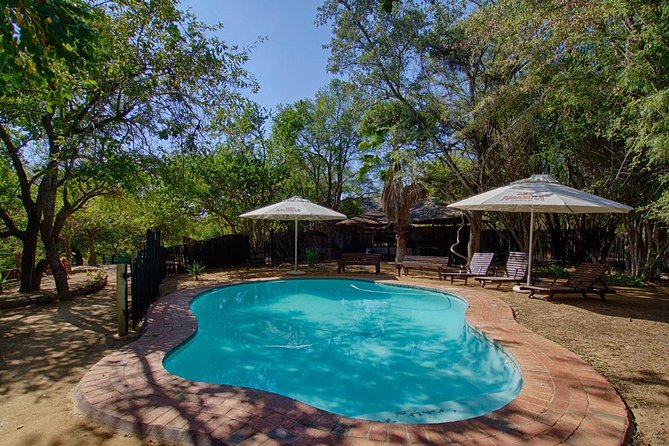 4 Day Budget Kruger National Park Safari - Day 4: A short wildlife walk and the Three Rondawels