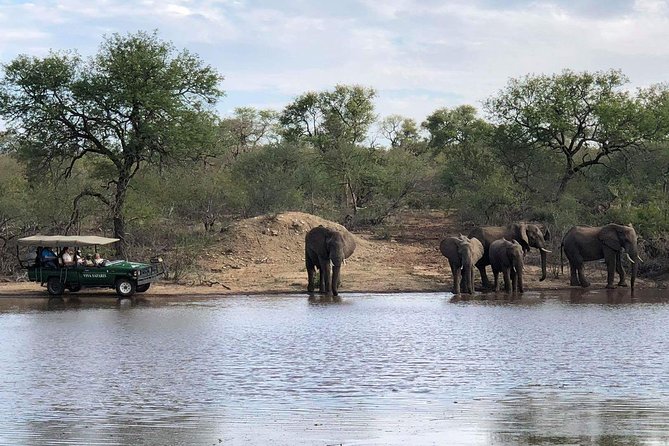 4 Day Budget Kruger National Park Safari - Is $796.20 good value?