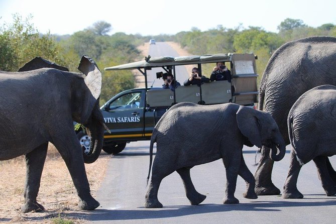 4 Day Classic Kruger National Park Safari - Key points before you book