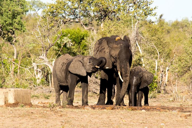 4 Day Classic Kruger National Park Safari - What the $1,020.78 price really covers