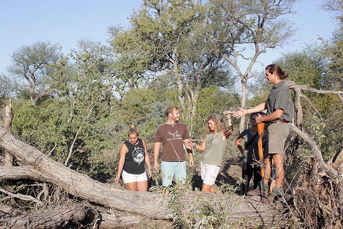 4 Day Classic Kruger National Park Safari - Accommodation at Tremisana Game Lodge