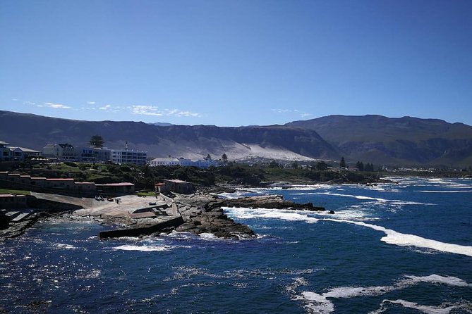 4 Day Garden Route Adventure & Safari - Hermanus and the timing of whale season