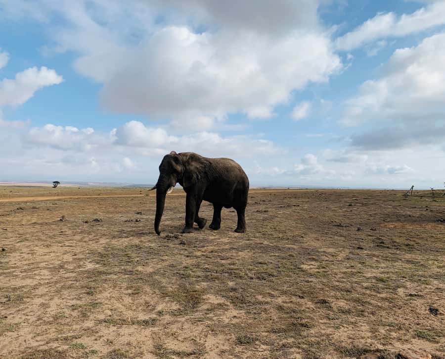 4-Day Garden Route Experience - Should you book it?
