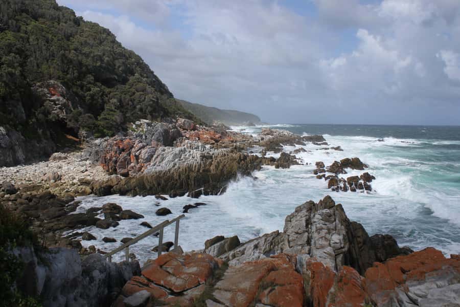 4-Day Garden Route Experience - Day 4: Morning game drive, Hermanus, and Betty’s Bay penguins