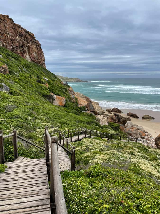4-Day Garden Route Experience - What the guide and vehicle add