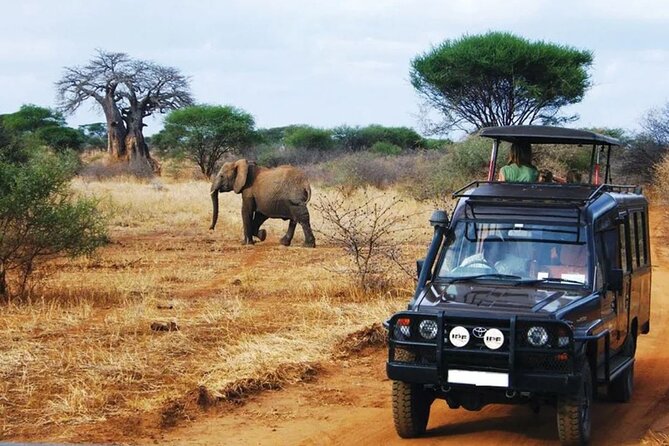 4 Day Garden Route Tour from CapeTown Small Group Hiking and Game - Why this four-day route works