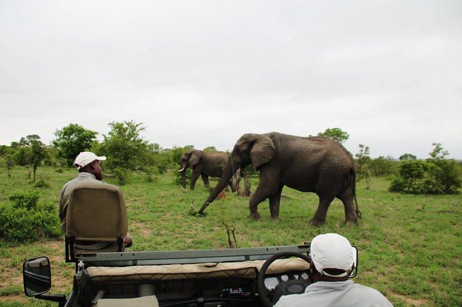 4 Day Greater Kruger National Park Adventure Safari - Why four days makes a real difference