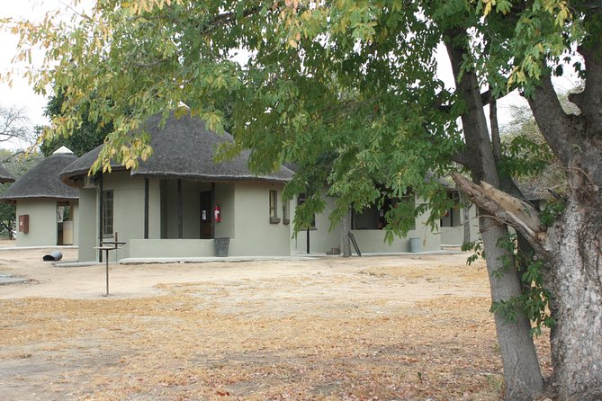 4 Day Greater Kruger National Park Adventure Safari - Afternoon drives bring a different rhythm