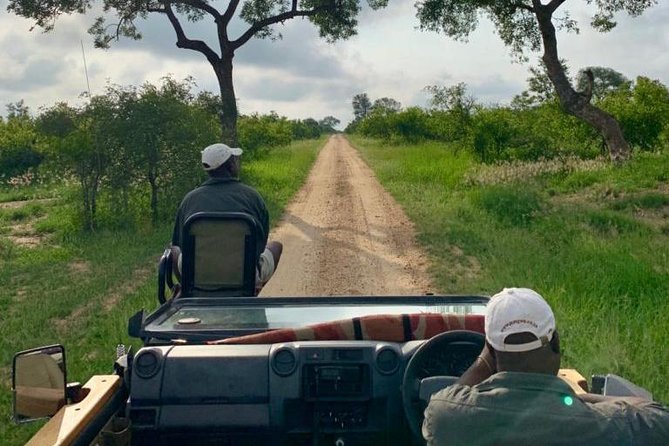 4 Day Greater Kruger National Park Adventure Safari - Transfers and the early start