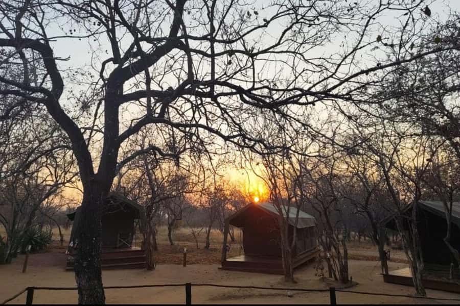 4 Day Kruger Glamping Budget Adventure - From OR Tambo to a tented camp near Kruger