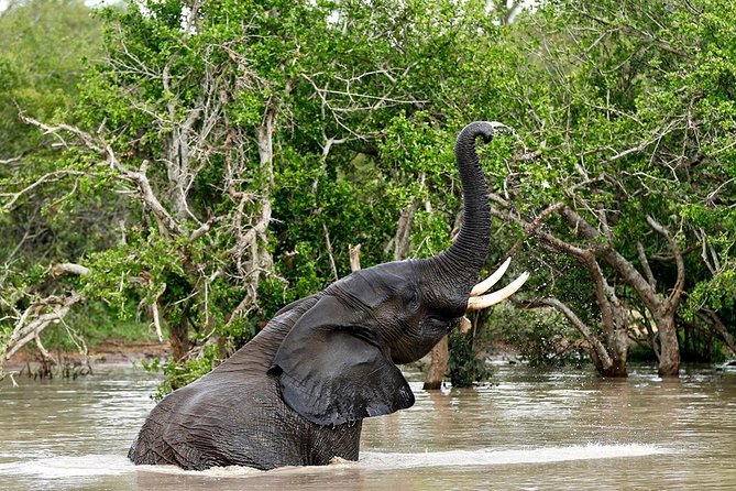 4 Day Kruger National Park and Panorama Route Safari - The Panorama Route’s big views on Day 3