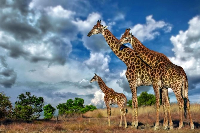 4 Day Kruger National Park and Panorama Route Safari - Accommodation, meals, and the real cost