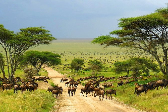 4 Day Kruger National Park and Panorama Route Safari - Timing, group size, and who should book