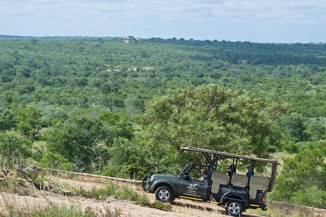 4-Day Kruger National Park Safari including Breakfast and Dinner - Day 1: a first drive in the late afternoon