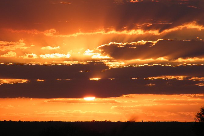 4 Day Kruger National Park Tour - Moholoholo and the questions behind wildlife rescue