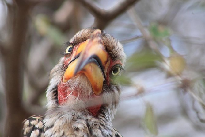 4 Day Kruger National Park Tour - Blyde River Canyon from land and water