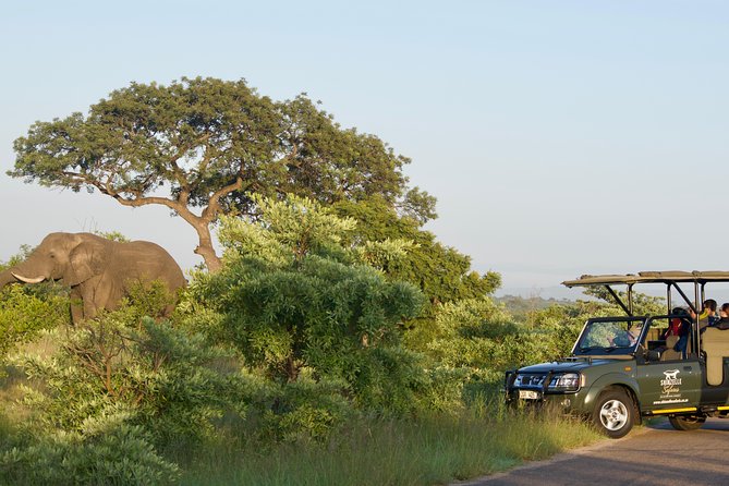 4-Day Kruger Park Safari & Panoramic Tour Combo including Breakfast and Dinner - Gecko Lodge: practical comfort near Hazyview