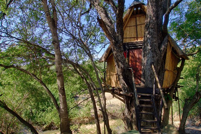 4 Day Lodge and Treehouse Kruger National Park Safari - From Johannesburg to the Balule bush