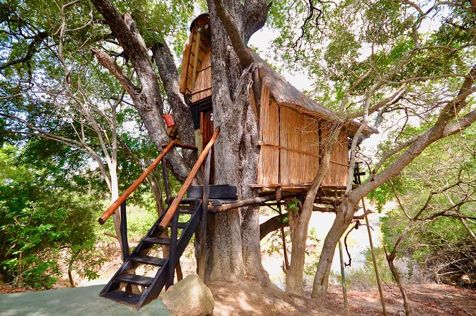 4 Day Lodge and Treehouse Kruger National Park Safari - A full day in Kruger National Park