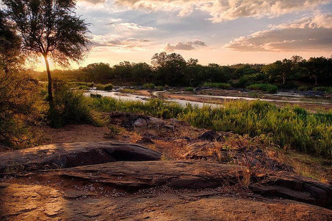 4 Day Lodge and Treehouse Kruger National Park Safari - Accommodation, food, and comfort