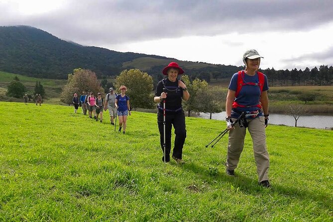 4-Day Private Natal Midlands Falls to Falls Tour - Key points to know before you book
