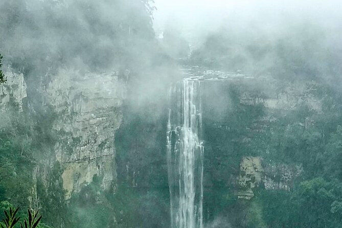 4-Day Private Natal Midlands Falls to Falls Tour - Day four: Tree trails, wildlife and Howick Falls