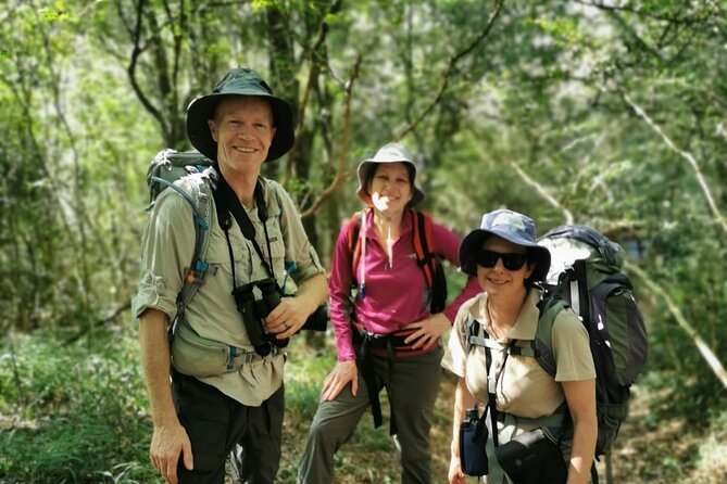 4-Day Private Natal Midlands Falls to Falls Tour - How difficult is the walking?