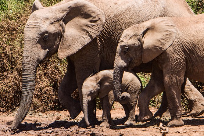 4 days Kruger Park Big 5 Safari and Awesome Panorama Route - Is $1,390 a fair price?