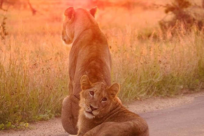 4 days Kruger Park Big 5 Safari and Awesome Panorama Route - Day two: Blyde Dam before entering Kruger