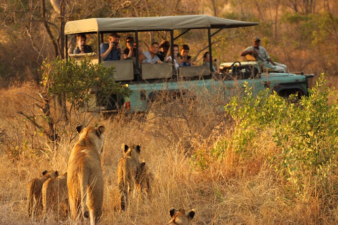 4 Days Radisson Kruger Safari Tour from Johannesburg - Day four: a final morning in Moditlo