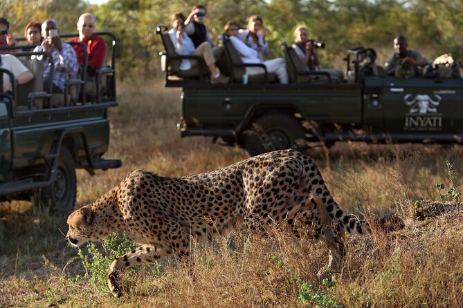 4 Days Radisson Kruger Safari Tour from Johannesburg - The Radisson base and included meals