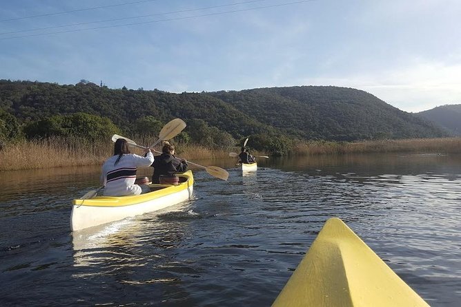 5 Day Cape to Addo Safari - Garden Route Small Group Tour - Day 3: Monkeys, Bloukrans, Tsitsikamma, and Jeffreys Bay