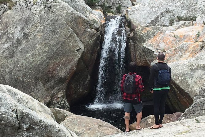 5-Day Garden Route & Addo Adventure from Cape Town to Port Elizabeth - Who should book this adventure